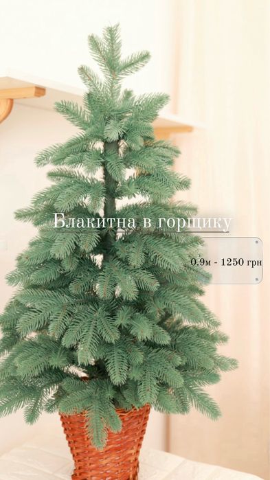 Ялинка в горщику 0.9м