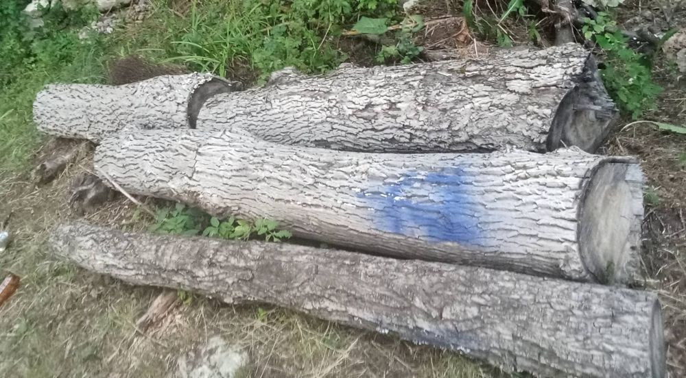 Продам горіх не пустотілий ціна за одиницю