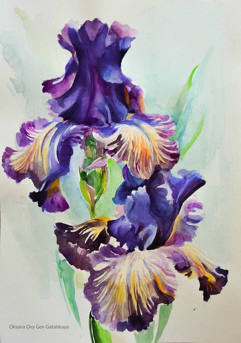 Piękne akwarele z kwiatami