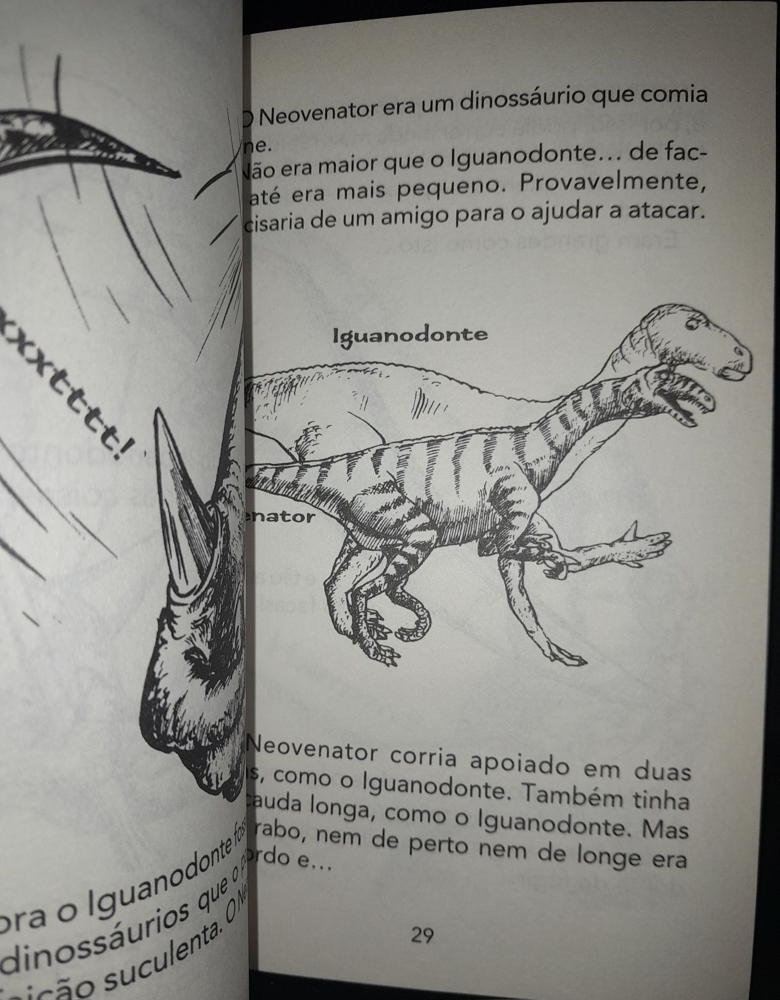 Livro sobre Dinossauros