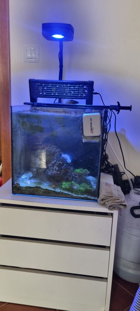 Vendo aquário mini da waterbox