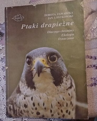 Ptaki drapiezne Dorota Zawadzka , Jan Lontkowski