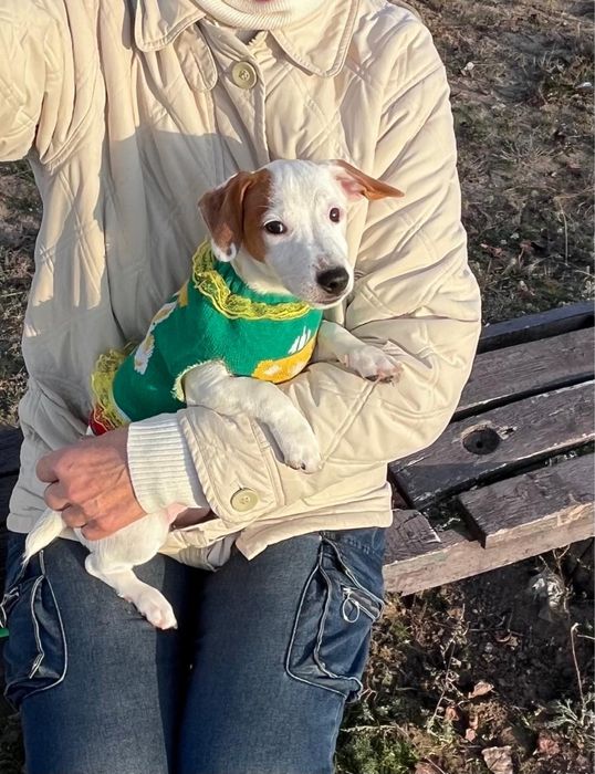 Девочка ищет маму