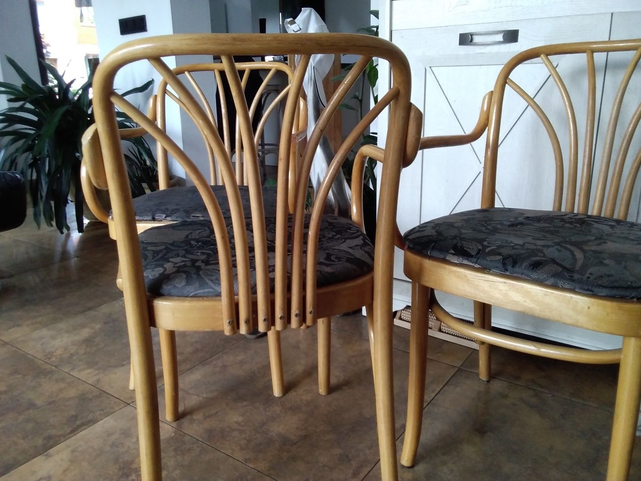 Krzesła drewniane gięte Jasienca