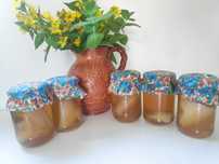 Grzybek kombucha+ starter