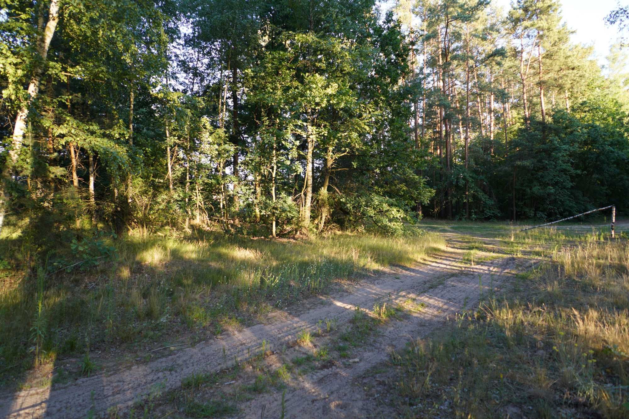 Działka budowlana pod lasem 6km od Pułtuska