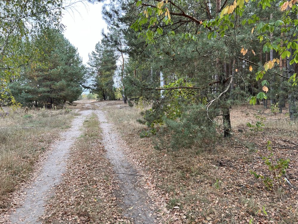 Продам ділянку 4Га в селі Жукин з лісом