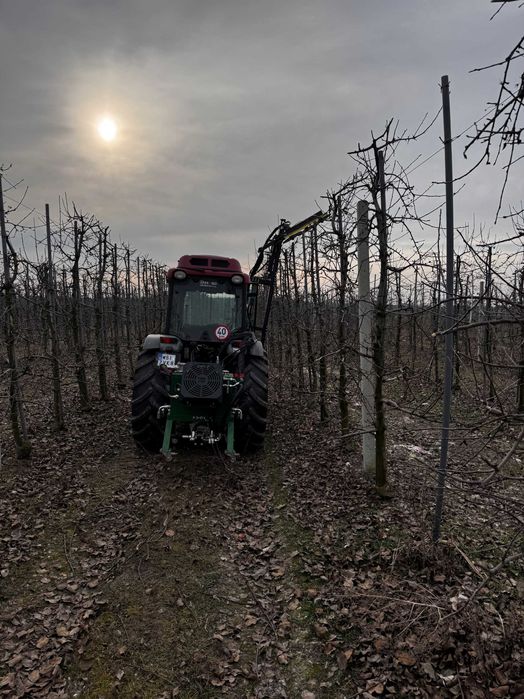 Cięcie mechaniczne drzew. Listwa sadownicza