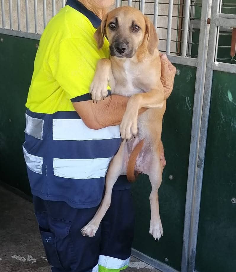 Bebés para adoção responsável