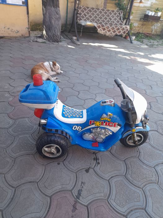 Детский трехколесный электрический мотоцикл велосипед