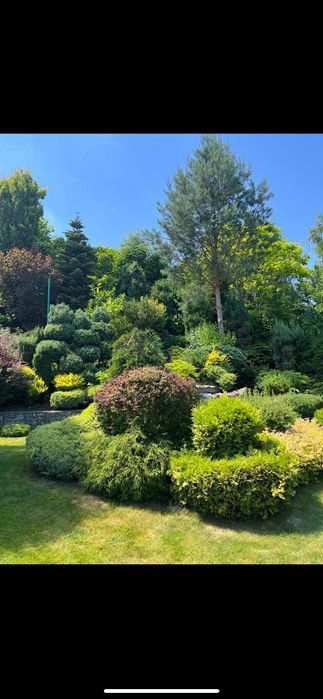 Продаж будинку в Брюховичах