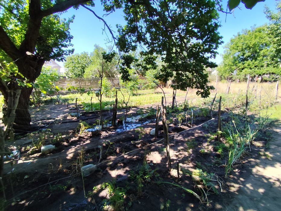 Село Бузьке СТ "Дружба", вулиця Верхня