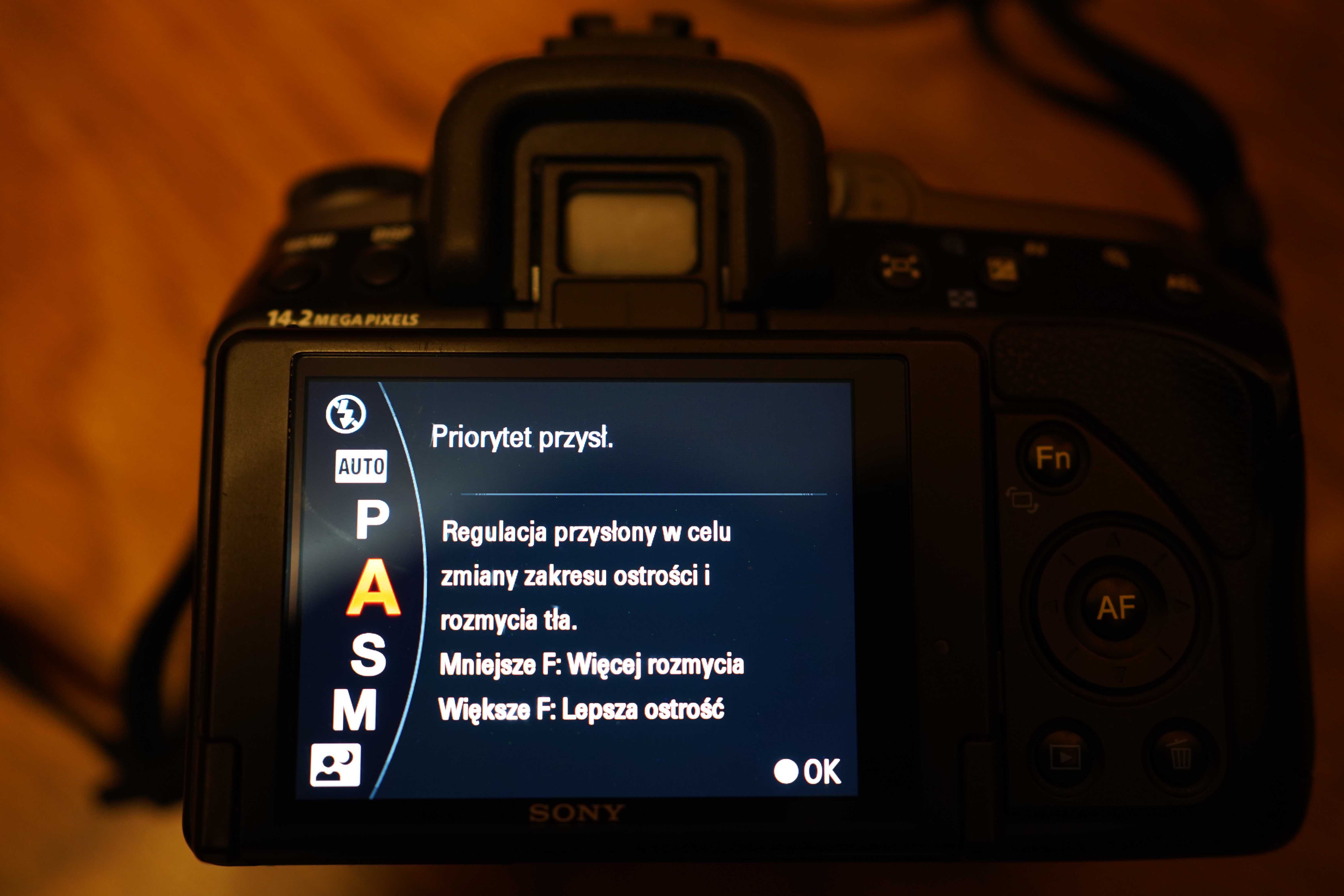Sony a550 aparat NA PREZENT przebieg TYLKO 10K zdjęć! Sony a7 a350 a58