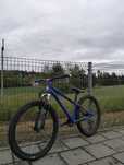 Marin Alcatraz dirt 26"