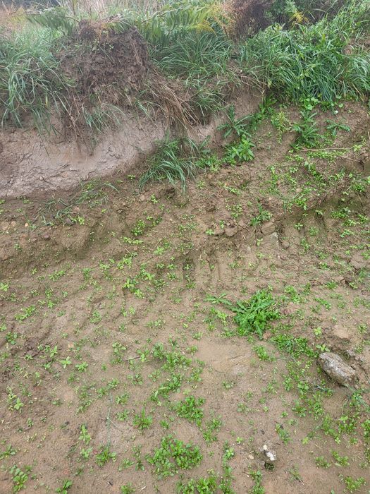 Oddam ziemię na podniesienie terenu