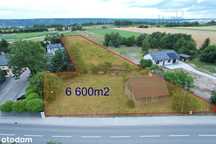 Działka Budowlana | Żłobnica | Kleszczów | 6600m2
