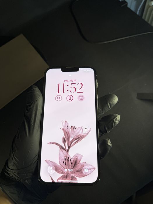 Iphone 13 Pro Max 256gb