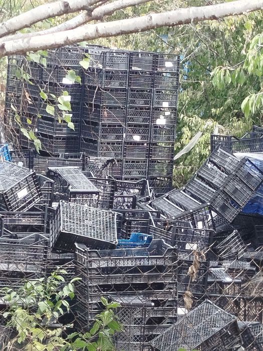 Плосмасовые ящики