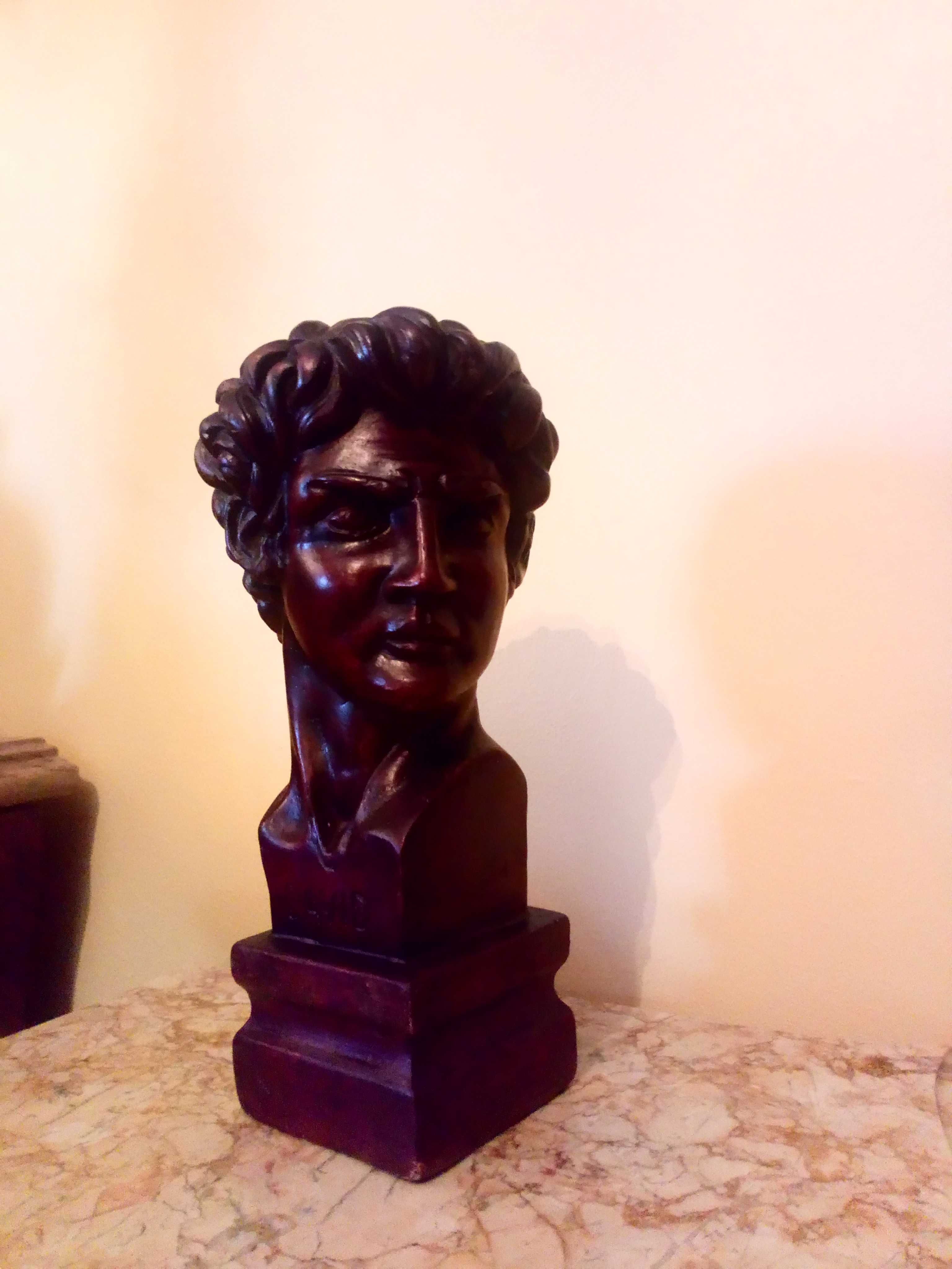 Busto de David de Miguel Ângelo