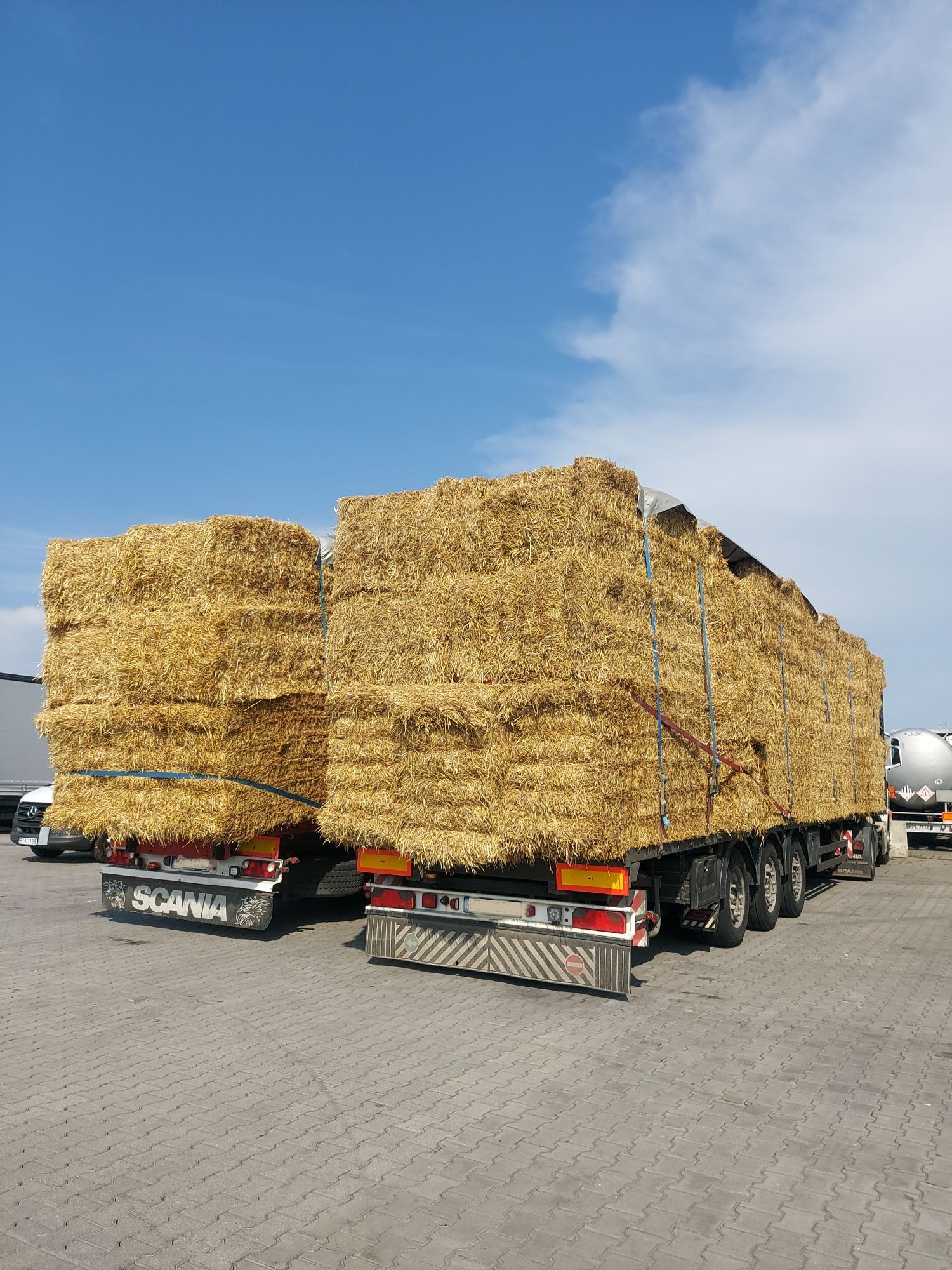 Słoma w dużych kostkach 250x120x90 jęczmienna 2025