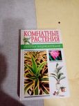 Книга Комнатные растения