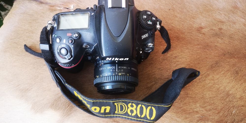 Nikon D800 FULLFRAME