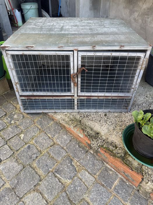 Caixa para transportar caes