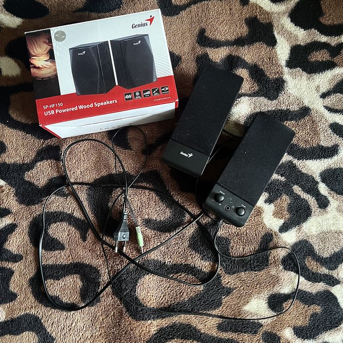 Колонки GENIUS (aux)