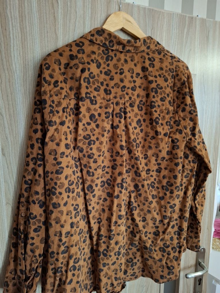 Koszula sztruksowa XXL plus size oversize panterka