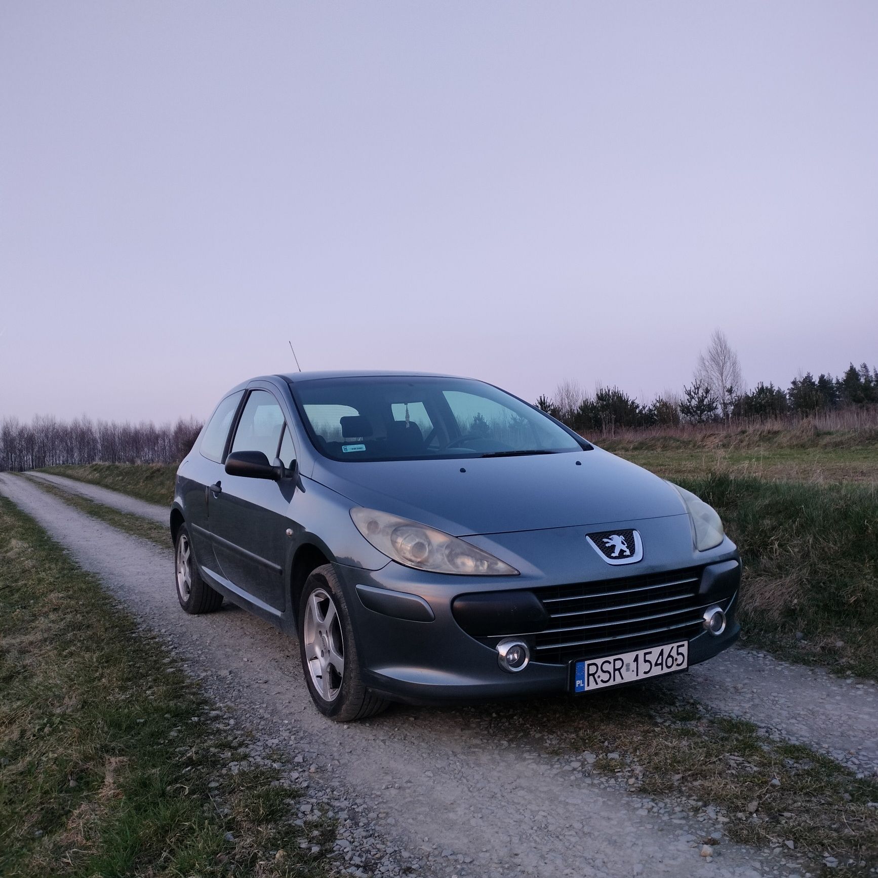 Peugeot 307 1.6 HDI 2006