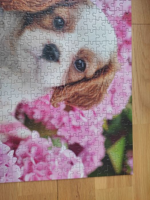 Puzzle 500 Pup in Pink Flowers / Szczenię w różowych kwiatach