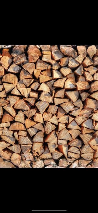 Продам Дрова різних порід з Доставкою
