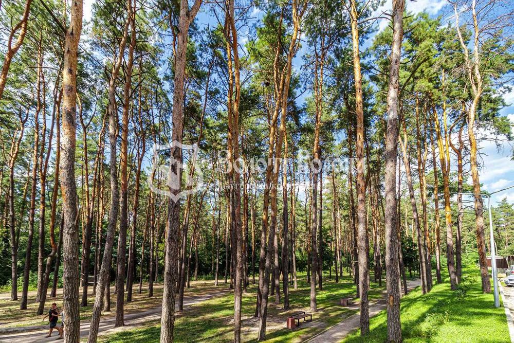 Квартира, 1к. Під ремонт. Світла, 3д, Харківський, Дарницький район