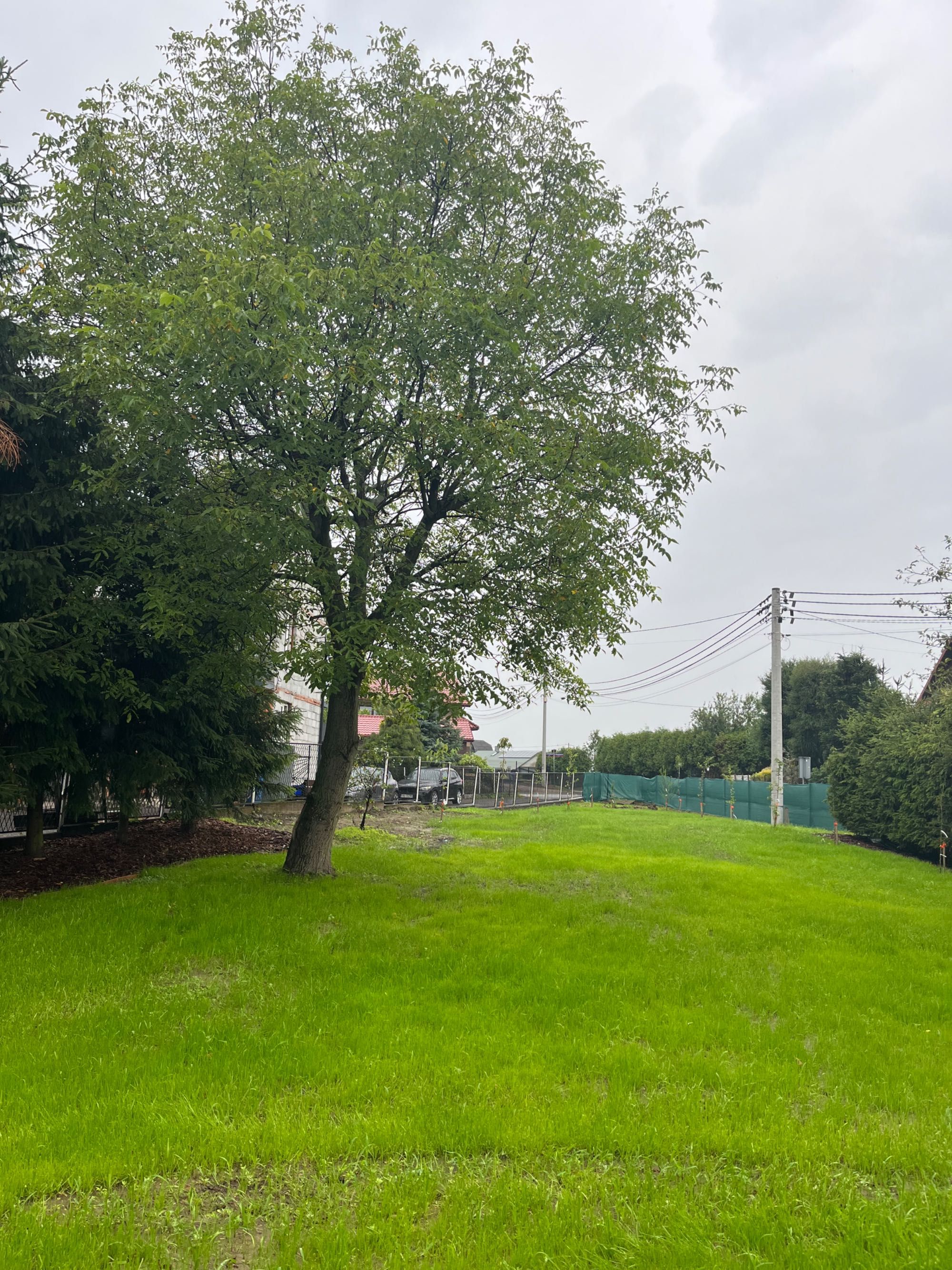 Zakładanie ogrodów, trawniki, nawadnianie, usługi minikoparka