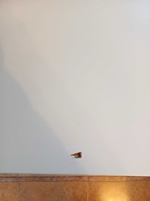 Estante Organizadora IKEA