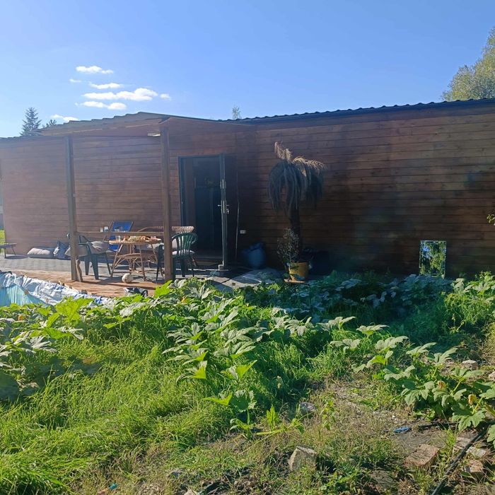 Wynajmę dom  50 m2