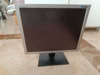 Monitor LG 19 polegadas