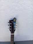 Troco guitarra clássica por chocadeira ou aves do meu interesse