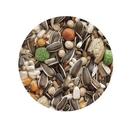 Mistura de sementes para aves