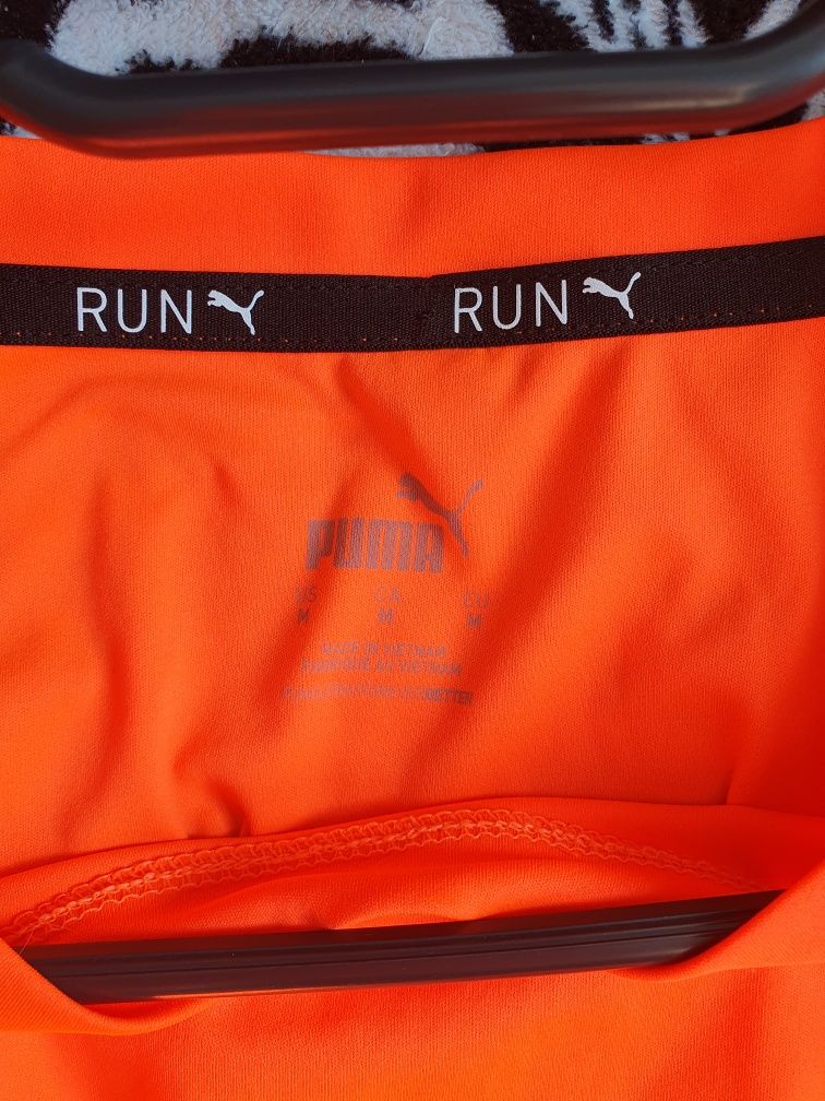 Top, topik Puma Run razacy