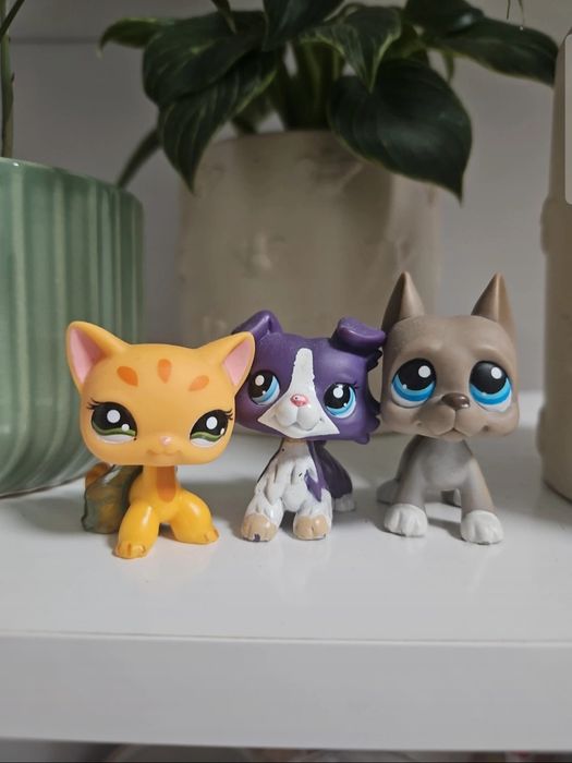 Wym13n13 lps na inne pop