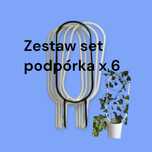 Podpórka dla roślin XL 50cm zestaw 6sztuk Podpora do kwiatów pnączy