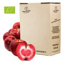 Sok 100% Tłoczony na zimno EKO Jabłko Czerwone dla alergików Vegan 3L