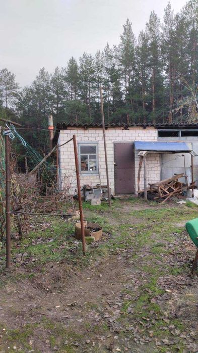 Будинок в селі Писарівка Полтавської області