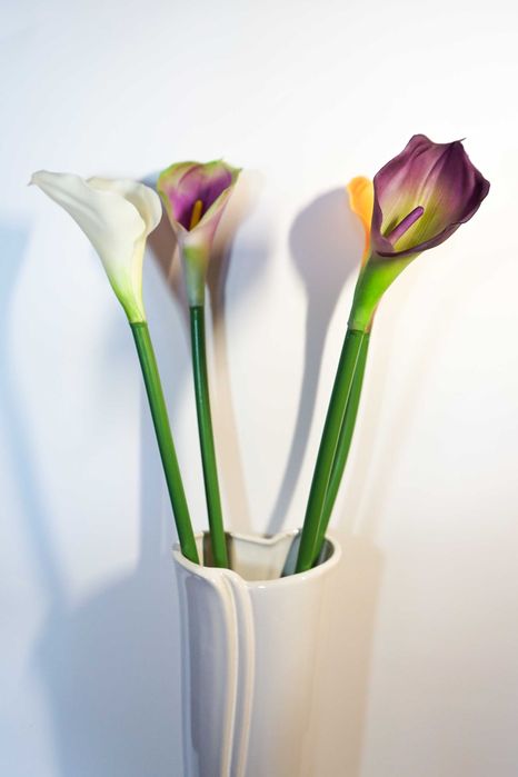 Kalia w kolorze żółto – pomarańczowym