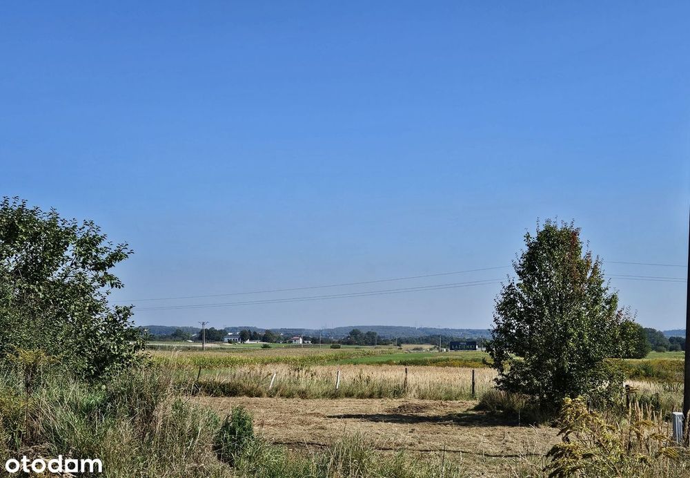 Działka budowlana 822 m² z mediami, Przeczyce Osiedle Łabędzie