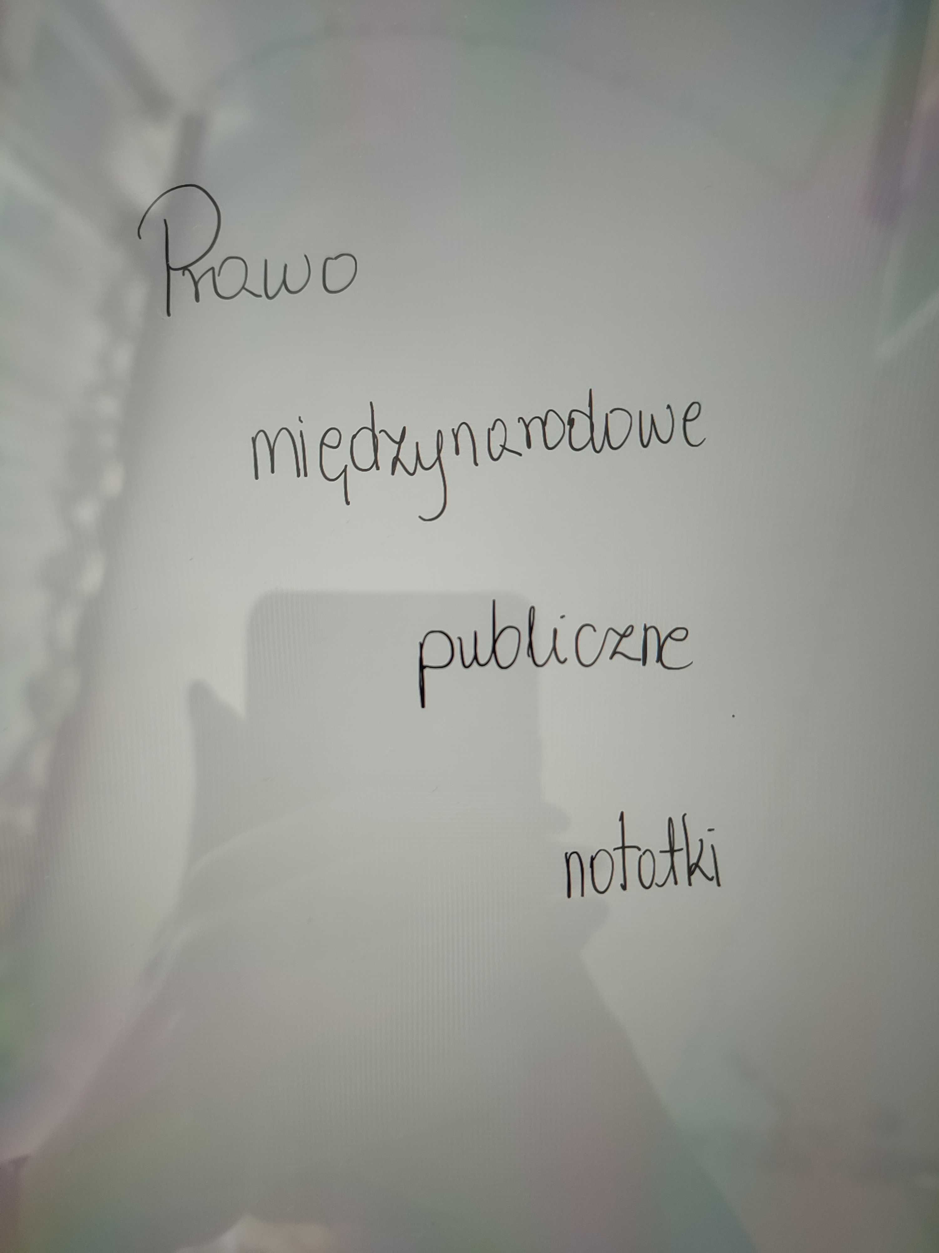 Prawo międzynarodowe publiczne notatki
