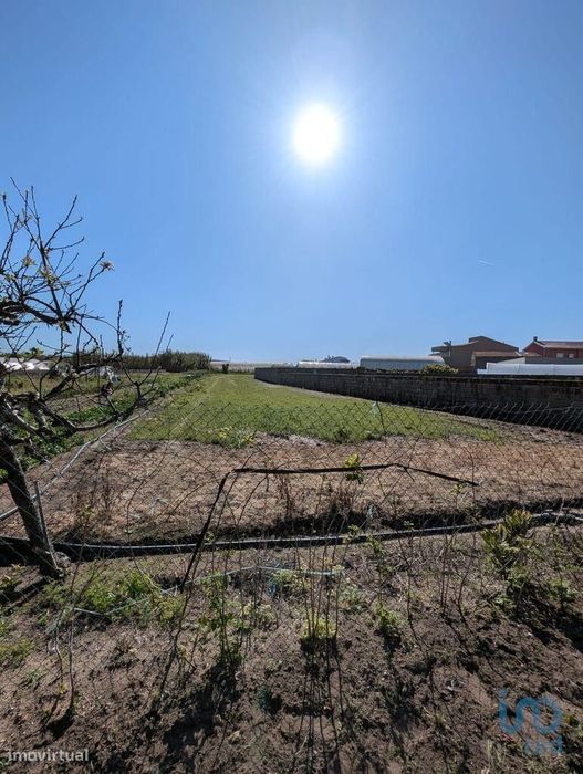 Casa T3 em Aguçadoura e Navais de 110,00 m2