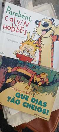 Calvin & hobbes 2 livros