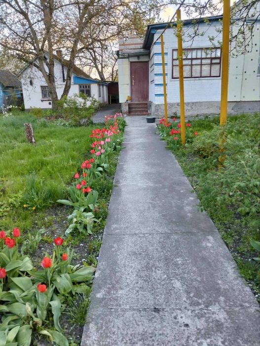 Продам будинок в с. Михайлівка Лебединського району